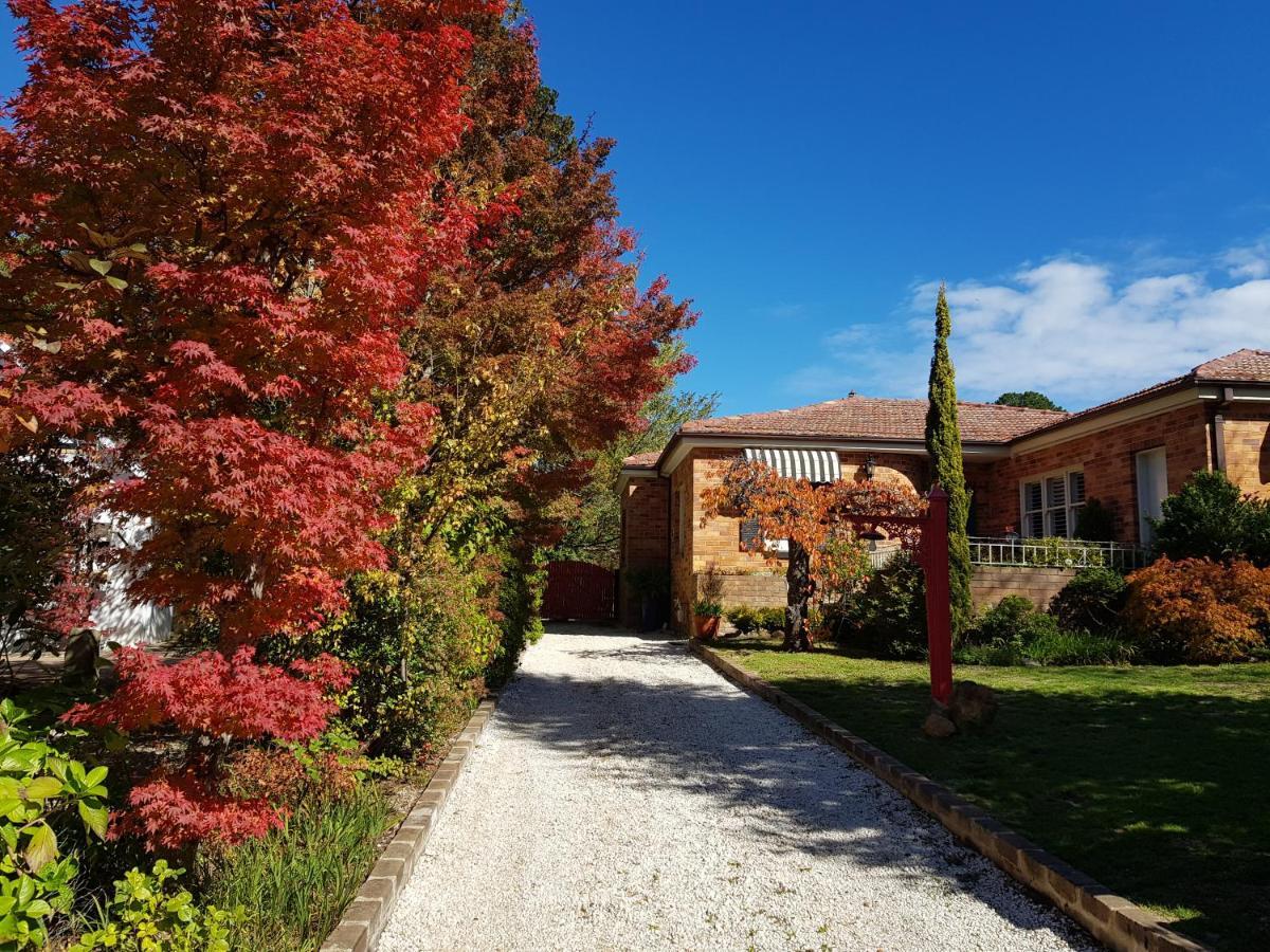 Winston Cottage At Three Sisters Katoomba Buitenkant foto