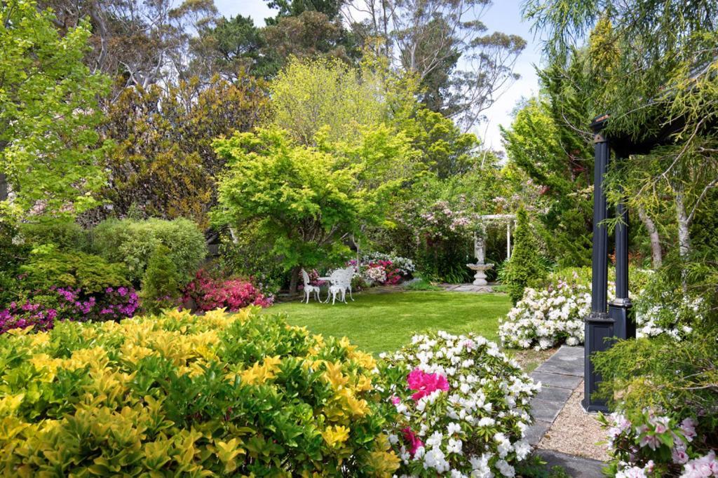 Winston Cottage At Three Sisters Katoomba Buitenkant foto