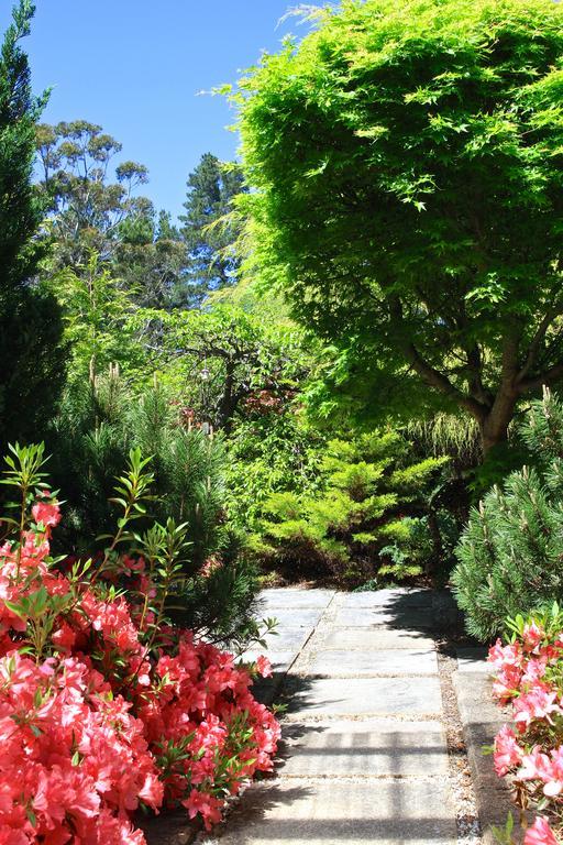 Winston Cottage At Three Sisters Katoomba Buitenkant foto