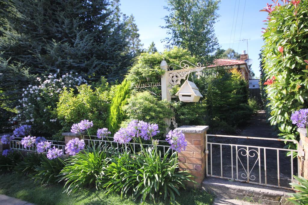 Winston Cottage At Three Sisters Katoomba Buitenkant foto