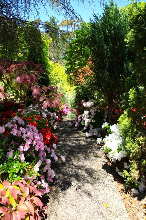 Winston Cottage At Three Sisters Katoomba Buitenkant foto