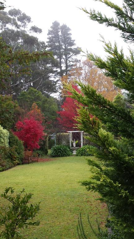 Winston Cottage At Three Sisters Katoomba Buitenkant foto