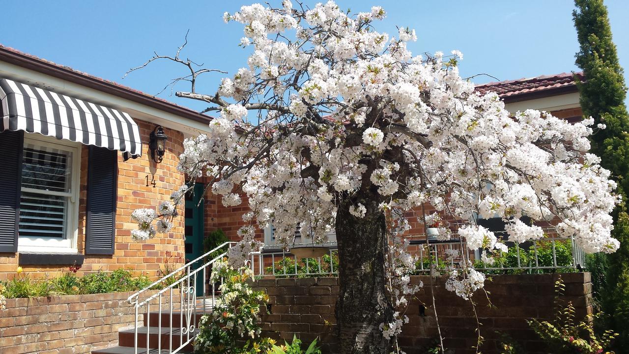 Winston Cottage At Three Sisters Katoomba Buitenkant foto