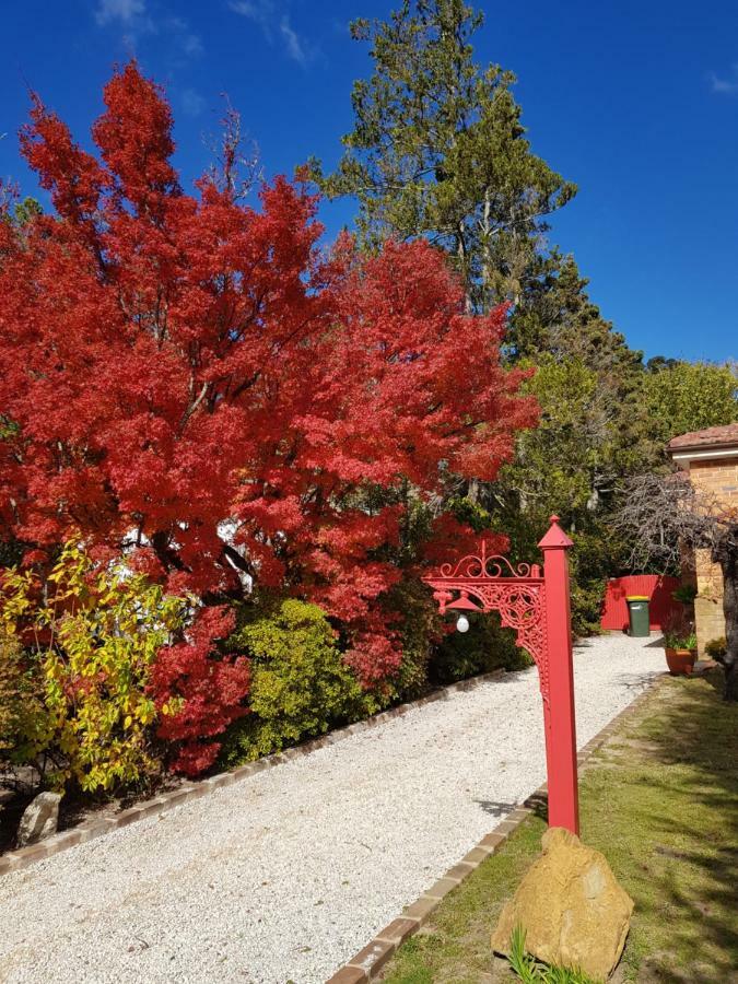 Winston Cottage At Three Sisters Katoomba Buitenkant foto